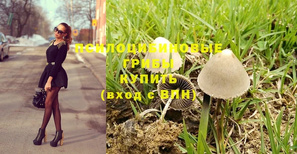 тгк Заводоуковск