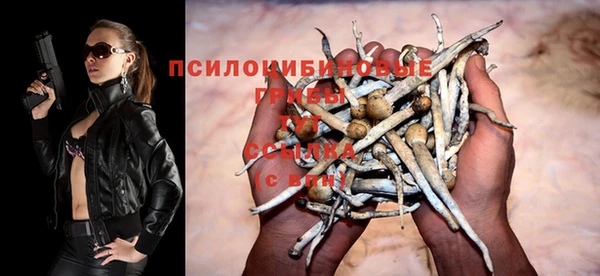 тгк Заводоуковск