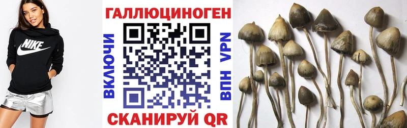 Галлюциногенные грибы прущие грибы  Купить закладки  Новоаннинский 